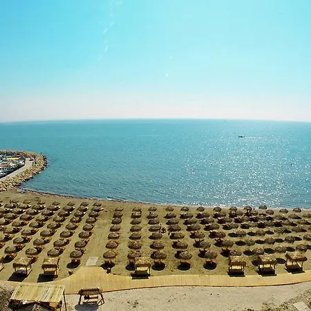 A.p Central Allisson Larnaca